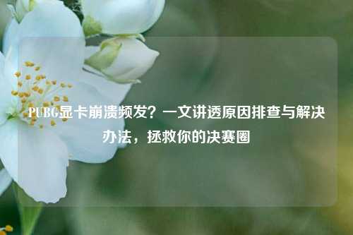 PUBG显卡崩溃频发？一文讲透原因排查与解决办法，拯救你的决赛圈