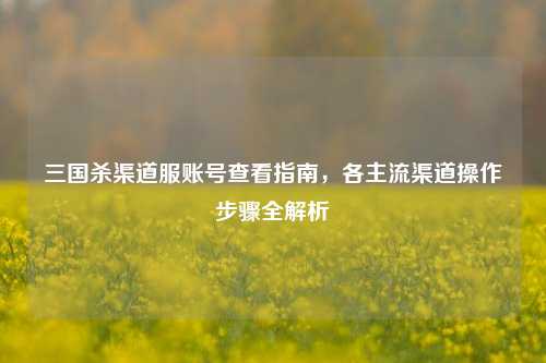 三国杀渠道服账号查看指南，各主流渠道操作步骤全解析