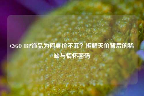 CSGO IBP饰品为何身价不菲?拆解天价背后的稀缺与情怀密码