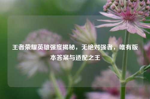 王者荣耀英雄强度揭秘，无绝对强者，唯有版本答案与适配之王