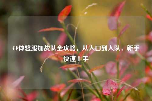 CF体验服加战队全攻略，从入口到入队，新手快速上手