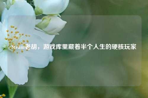 Steam老胡，游戏库里藏着半个人生的硬核玩家