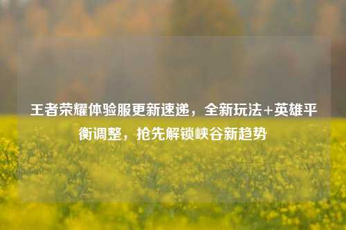王者荣耀体验服更新速递,全新玩法+英雄平衡调整,抢先解锁峡谷新趋势