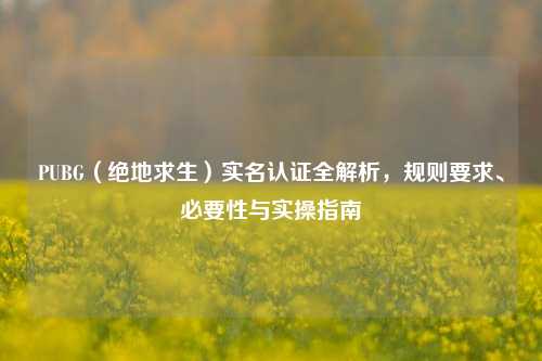 PUBG（绝地求生）实名认证全解析，规则要求、必要性与实操指南