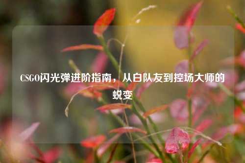 CSGO闪光弹进阶指南，从白队友到控场***的蜕变