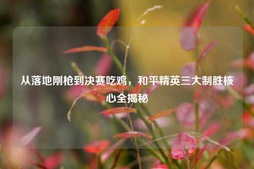 从落地刚枪到决赛吃鸡，和平精英三大制胜核心全揭秘