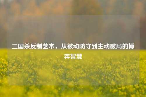 三国杀反制艺术，从被动防守到主动破局的博弈智慧