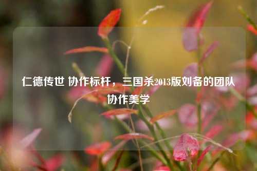 仁德传世 协作标杆，三国杀2013版刘备的团队协作美学