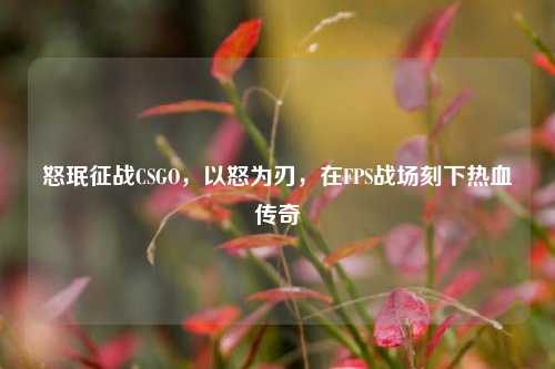 怒珉征战CSGO，以怒为刃，在FPS战场刻下热血传奇