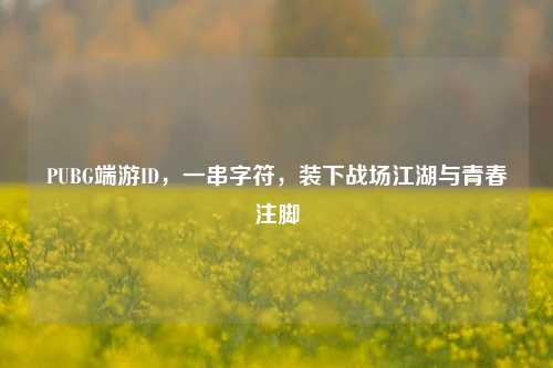 PUBG端游ID,一串字符,装下战场江湖与青春注脚