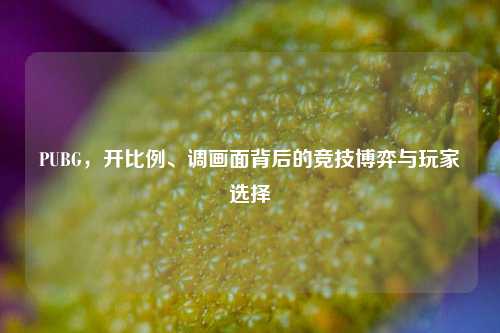 PUBG，开比例、调画面背后的竞技博弈与玩家选择