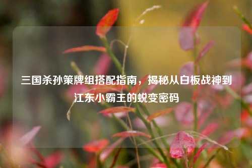 三国杀孙策牌组搭配指南，揭秘从白板战神到江东小霸王的蜕变密码
