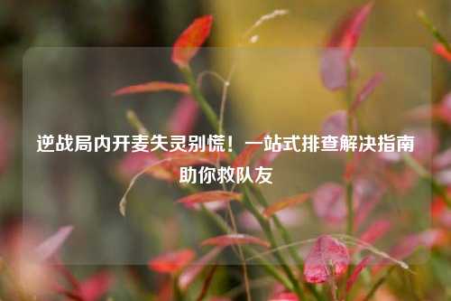 逆战局内开麦失灵别慌！一站式排查解决指南助你救队友