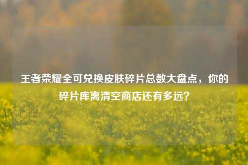 王者荣耀全可兑换皮肤碎片总数大盘点，你的碎片库离清空商店还有多远？