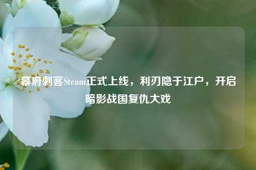 幕府刺客Steam正式上线，利刃隐于江户，开启暗影战国复仇大戏