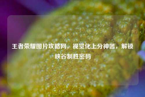 王者荣耀图片攻略网，视觉化上分神器，解锁峡谷制胜密码