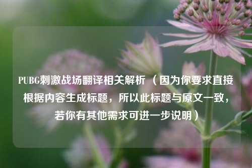 PUBG***战场翻译相关解析 （因为你要求直接根据内容生成标题，所以此标题与原文一致，若你有其他需求可进一步说明）