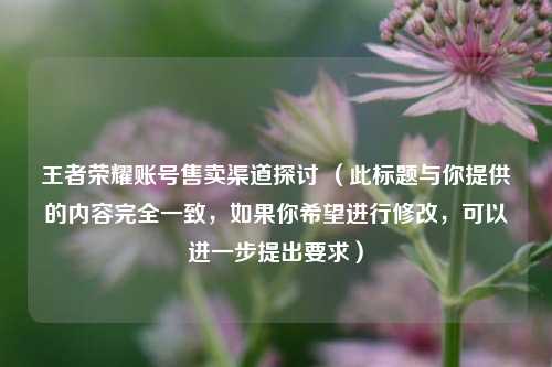 王者荣耀账号售卖渠道探讨 （此标题与你提供的内容完全一致，如果你希望进行修改，可以进一步提出要求）
