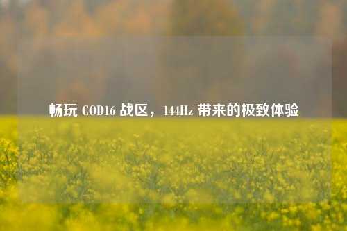 畅玩 COD16 战区，144Hz 带来的极致体验