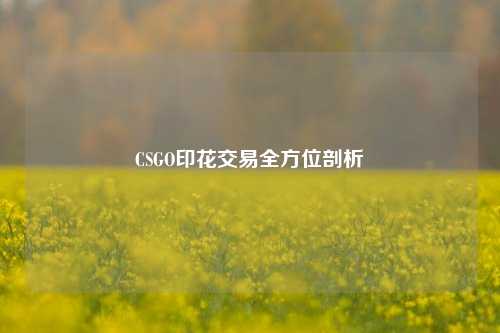 CSGO印花交易全方位剖析