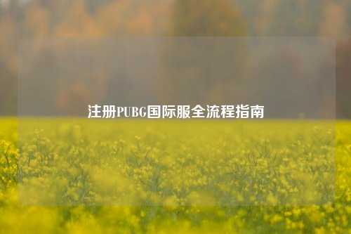注册PUBG国际服全流程指南