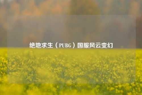 绝地求生（PUBG）国服风云变幻