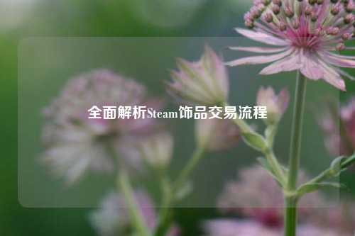 全面解析Steam饰品交易流程