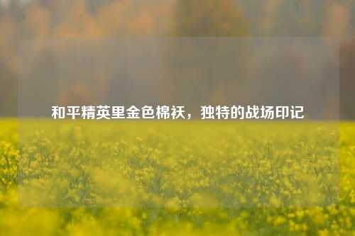 和平精英里金色棉袄，独特的战场印记