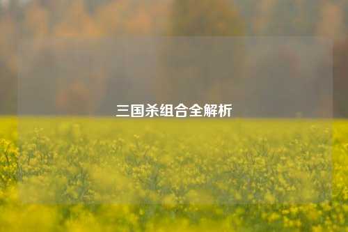 三国杀组合全解析