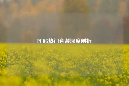 PUBG热门套装深度剖析