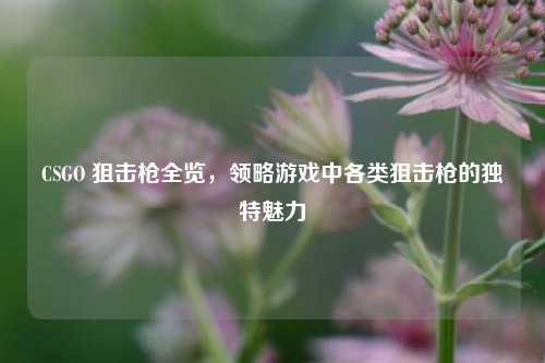 CSGO 狙击枪全览，领略游戏中各类狙击枪的独特魅力