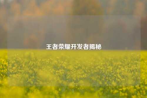 王者荣耀开发者揭秘