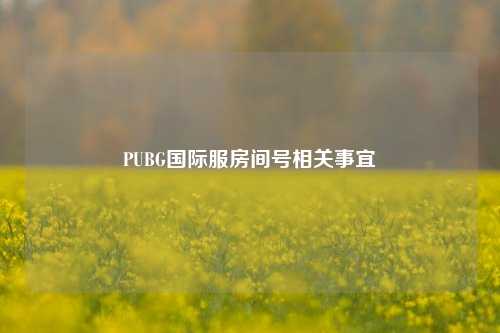 PUBG国际服房间号相关事宜