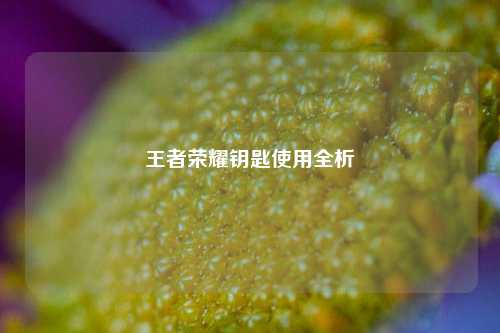 王者荣耀钥匙使用全析