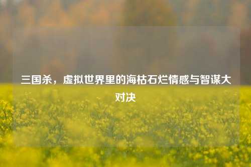 三国杀,虚拟世界里的海枯石烂情感与智谋大对决