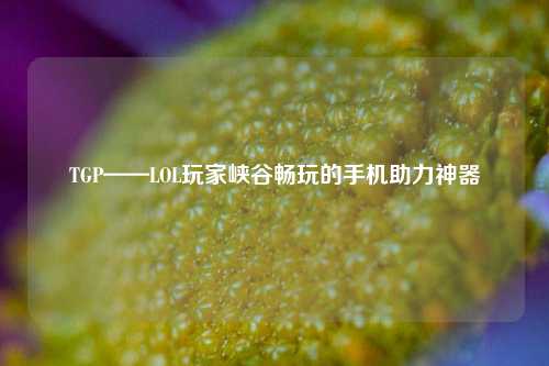 TGP——LOL玩家峡谷畅玩的手机助力神器