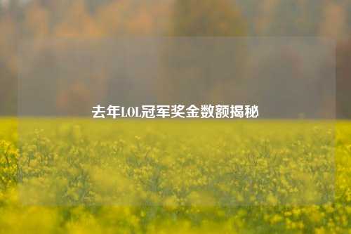 去年LOL冠军奖金数额揭秘