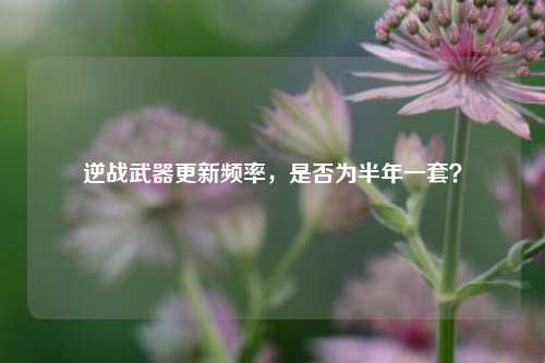 逆战武器更新频率,是否为半年一套?