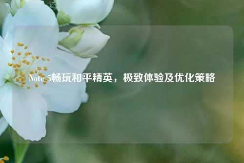 Note 5畅玩和平精英，极致体验及优化策略