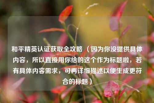 和平精英认证获取全攻略 （因为你没提供具体内容，所以直接用你给的这个作为标题啦，若有具体内容需求，可再详细描述以便生成更符合的标题）