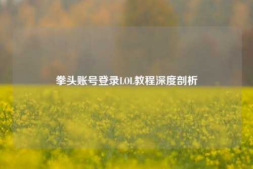 拳头账号登录LOL教程深度剖析