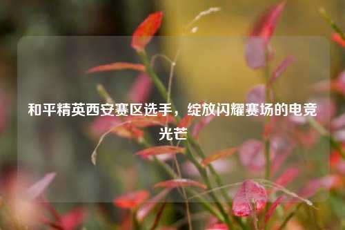 和平精英西安赛区选手，绽放闪耀赛场的电竞光芒