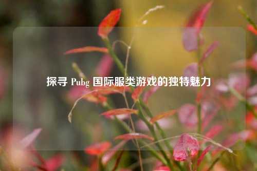 探寻 Pubg 国际服类游戏的独特魅力