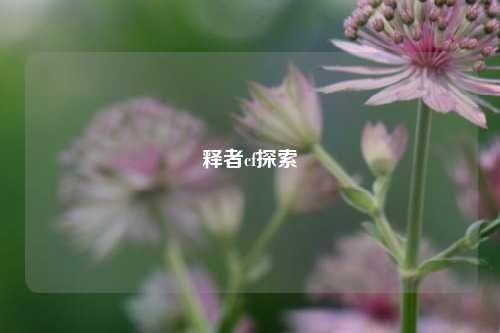 释者cf探索