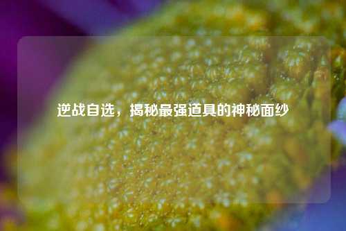 逆战自选，揭秘最强道具的神秘面纱