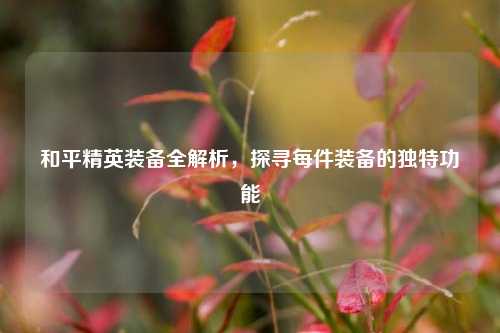和平精英装备全解析，探寻每件装备的独特功能