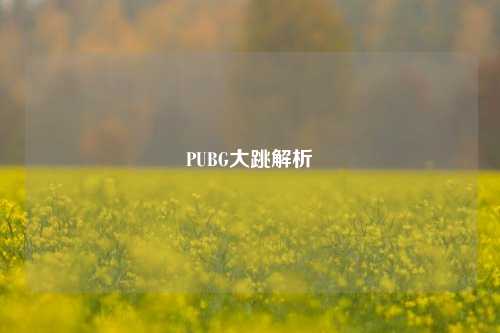 PUBG大跳解析
