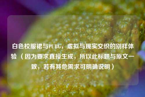 白色校服裙与PUBG，虚拟与现实交织的别样体验 （因为要求直接生成，所以此标题与原文一致，若有其他需求可明确说明）