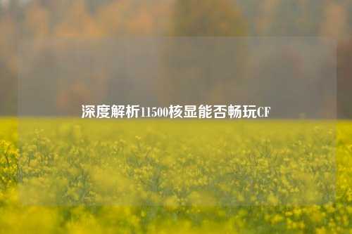 深度解析11500核显能否畅玩CF