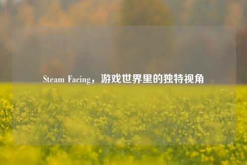 Steam Facing，游戏世界里的独特视角
